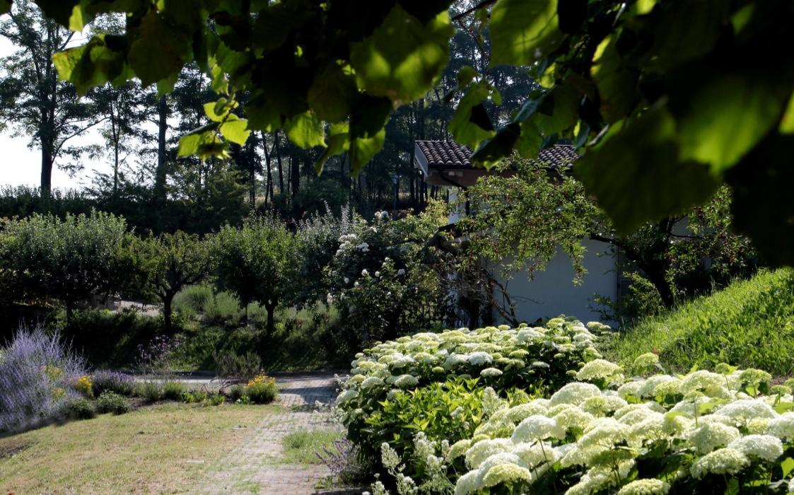 Il Borgo Delle Grazie Villa Ovada Exterior foto